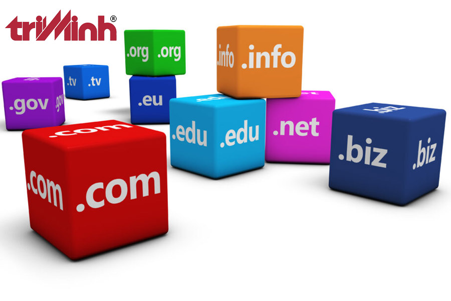 tam-quan-trong-cua-ten-mien-cho-website-doanh-nghiep