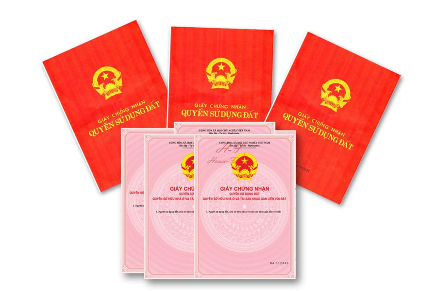 tra-lai-trong-nam-2017
