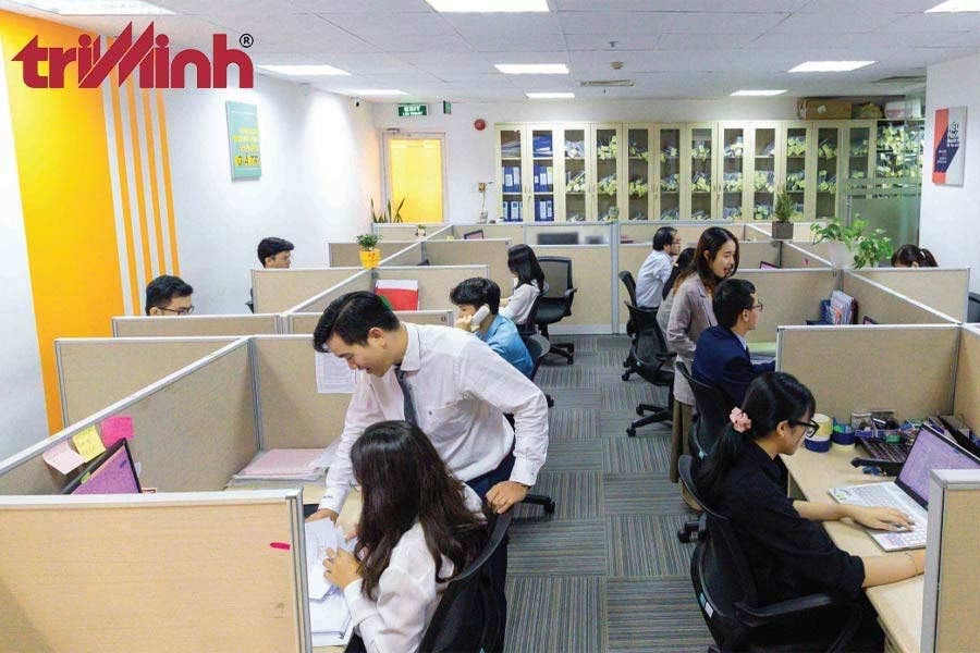 dich-vu-xin-giay-phep-an-ninh-trat-tu-chuyen-nghiep-tai-luat-tri-minh