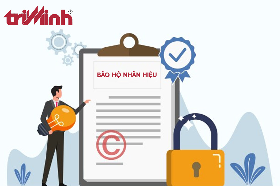 co-quan-co-tham-quyen-thuc-thi-viec-bao-ho-tai-viet-nam