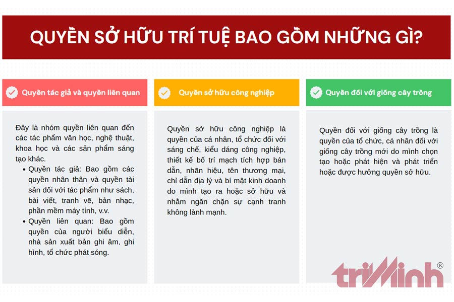 quyen-so-huu-tri-tue-bao-gom-1