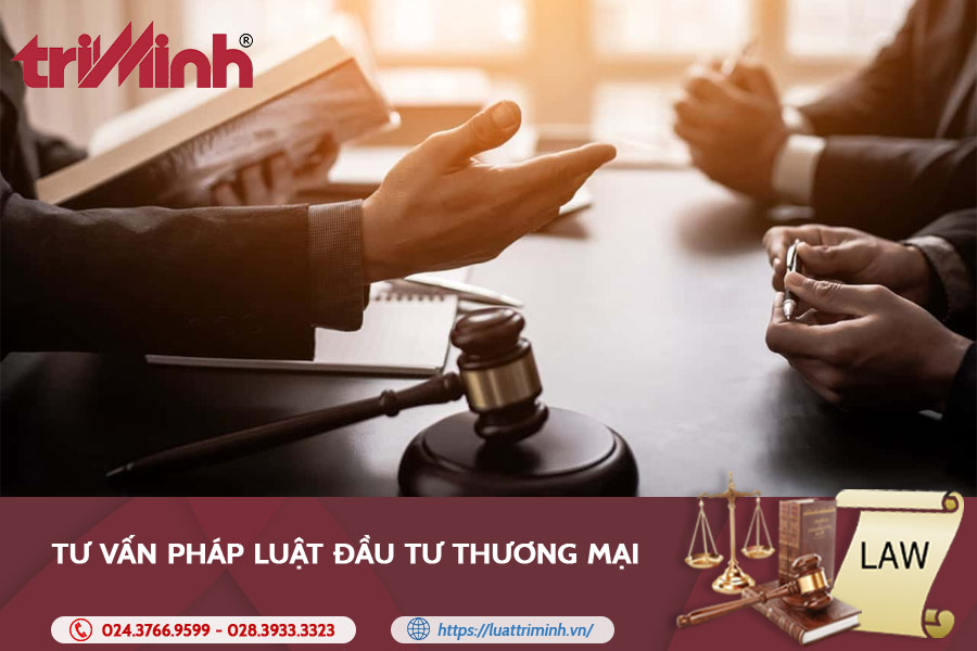 tu-van-phap-luat-dau-tu-thuong-mai