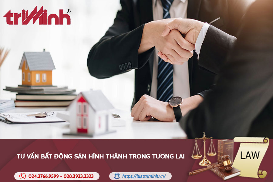 tu-van-bat-dong-san-hinh-thanh-trong-tuong-lai