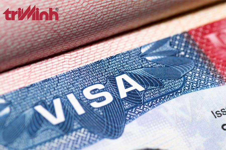 cac-loai-visa-lam-viec-cho-nguoi-nuoc-ngoai