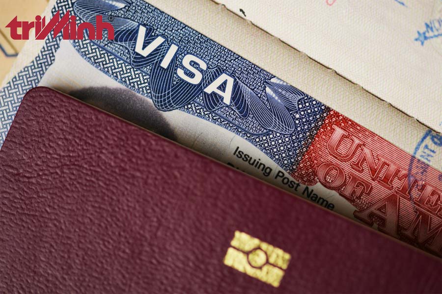 nhu-cau-xin-visa-lam-viec-tai-viet-nam-ien-nay