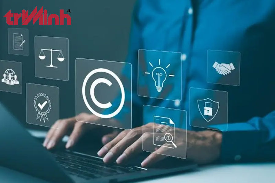 nhung-truong-hop-nhan-hieu-khong-duoc-bao-ve