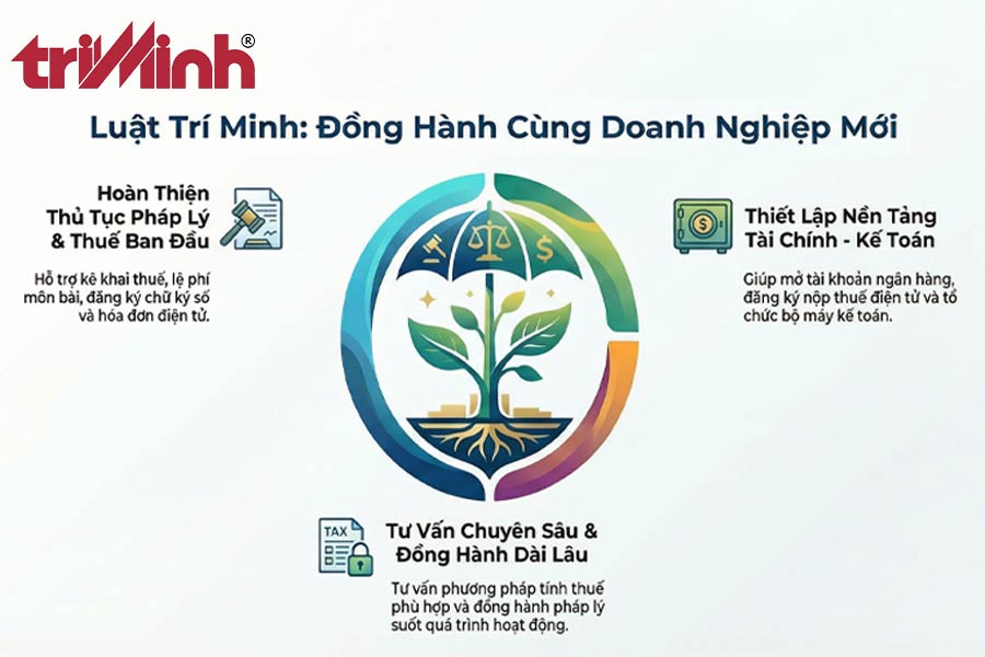 dich-vu-ho-tro-sau-thanh-lap-doanh-nghiep-tai-luat-tri-minh