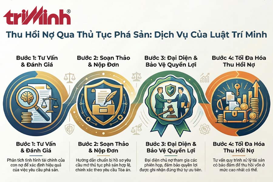 dich-vu-tu-van-cua-luat-tri-minh