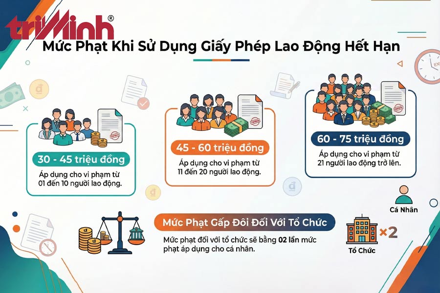hau-qua-phap-ky-khi-su-dung-giay-phep-lao-dong-da-het-han