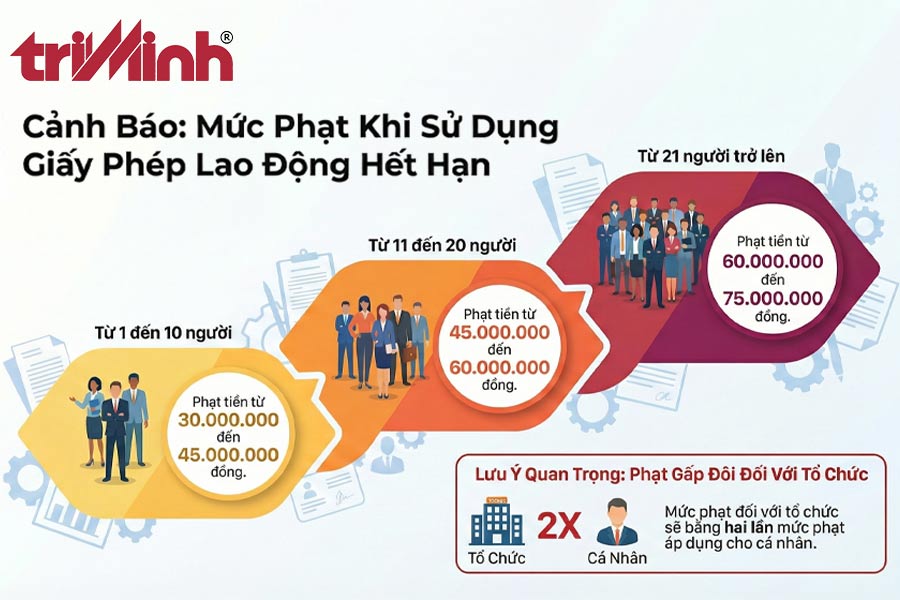 hau-qua-phap-ly-khi-su-dung-giay-phep-lao-dong-het-han