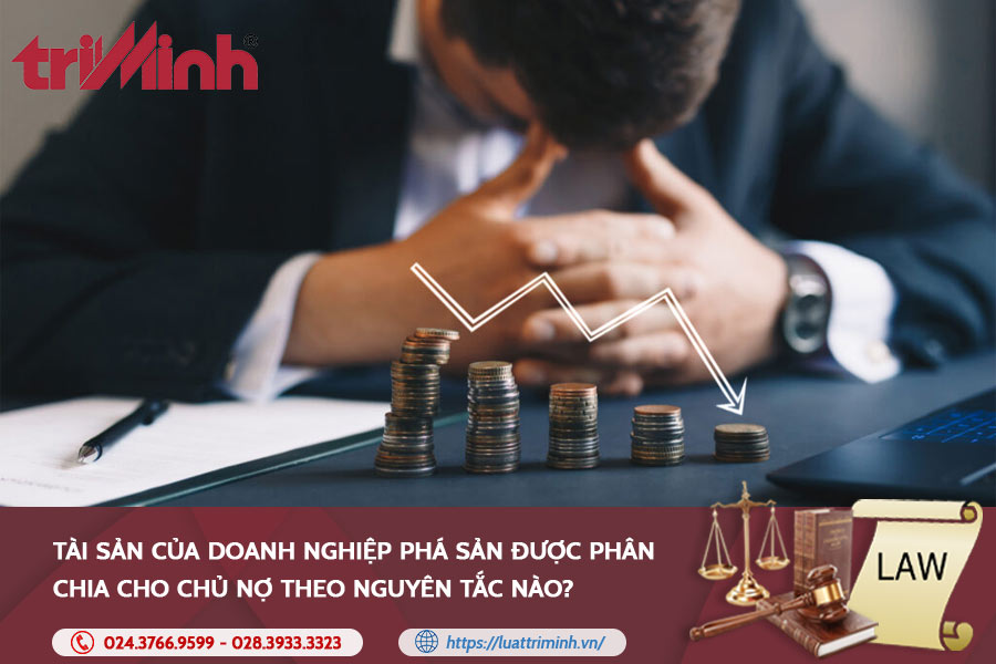 tai-san-cua-doanh-nghiep-pha-san-duoc-phan-chia-cho-chu-no-theo-nguyen-tac-nao
