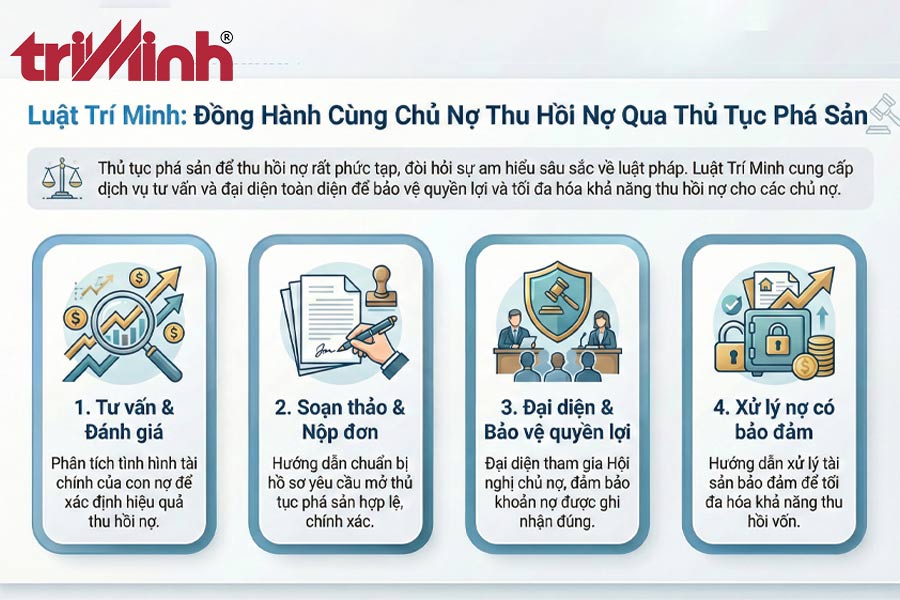 dich-vu-tu-van-cua-luat-tri-minh