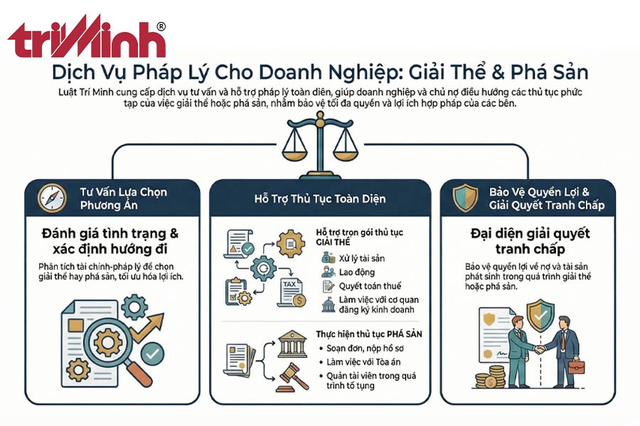 dich-vu-tu-van-cua-luat-tri-minh