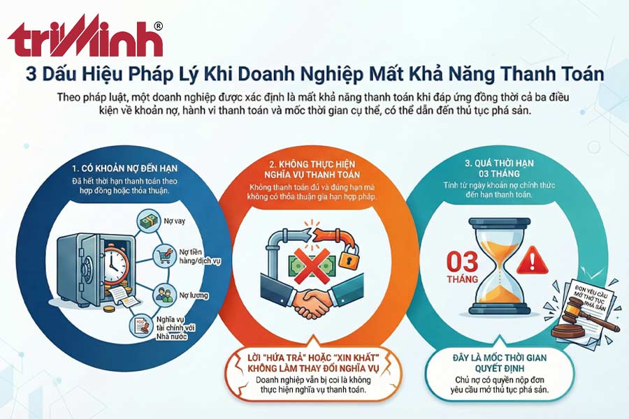 khi-nao-doanh-nghiep-bi-coi-la-mat-kha-nang-thanh-toan-2