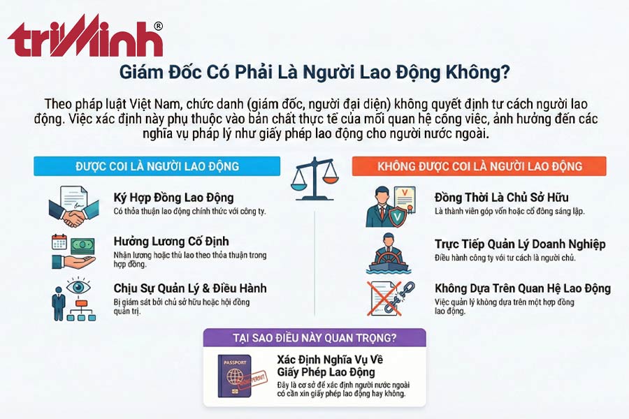 nguoi-dai-dien-theo-phap-luat-giam-doc-cong-ty-co-duoc-coi-la-nguoi-lao-dong-khong