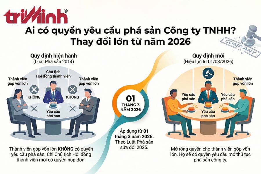 thanh-vien-so-huu-ty-le-lon-von-dieu-le-cua-cong-ty-trach-nhiem-huu-han-hai-thanh-vien-tro-len-co-duoc-yeu-cau-mo-thu-tuc-pha-san-khong-2
