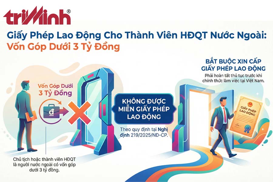 truong-hop-chu-tich-hoi-dong-quan-tri-hoac-thanh-vien-hdqt-gop-von-duoi-3-ty