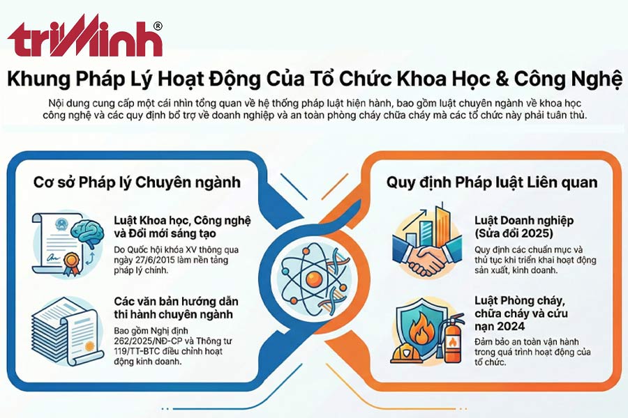 co-so-phap-ly-lien-quan