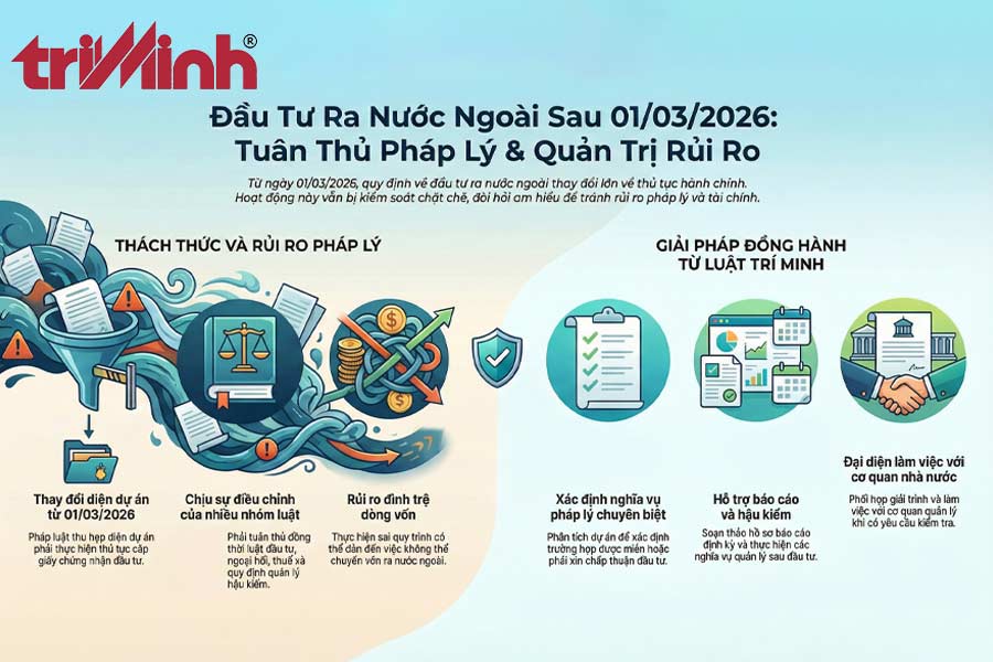 dich-vu-tu-van-cua=luat-tri-minh