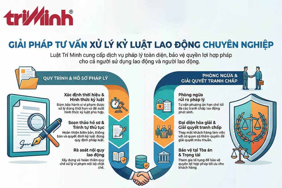 dich-vu-tu-van-xu-ly-ky-luat-lao-dong-tai-luat-tri-minh