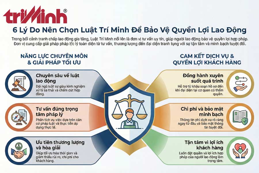 ly-do-nen-lua-chon-dich-vu-tai-luat-tri-minh