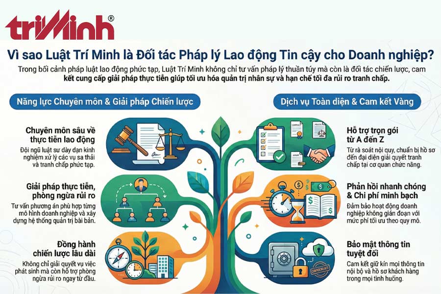 ly-do-nen-lua-chon-dich-vu-tai-luat-tri-minh