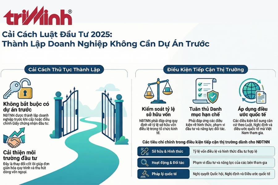 nha-dau-tu-nuoc-ngoai-khong-phai-co-du-an-truoc-khi-thanh-lap-doanh-nghiep