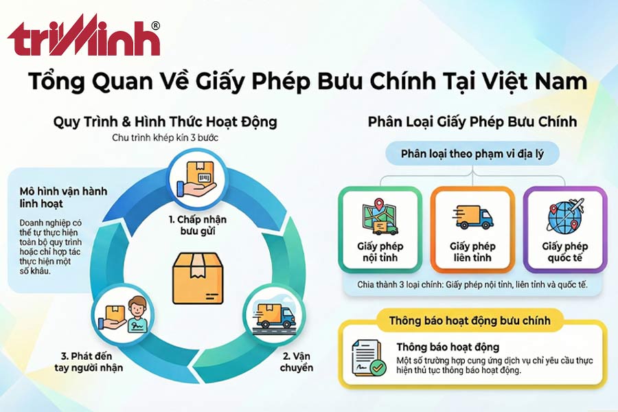 giay-phep-buu-chinh-la-gi