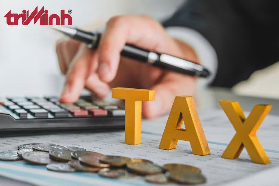 dich-vu-tu-van-thue-va-ke-toan-cho-ho-kinh-doanh-tai-luat-tri-minh