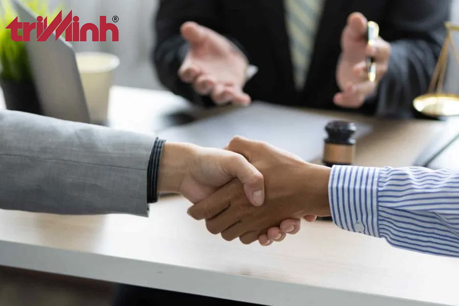 tai-sao-can-tu-van-phap-ly-dau-tu-mao-hiem