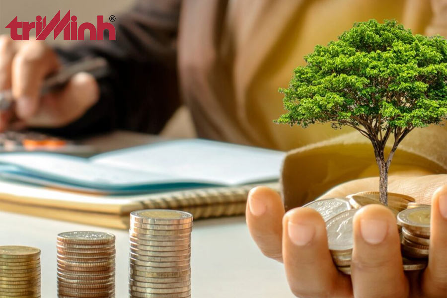 tu-van-phap-ly-dau-tu-mao-hiem-la-gi