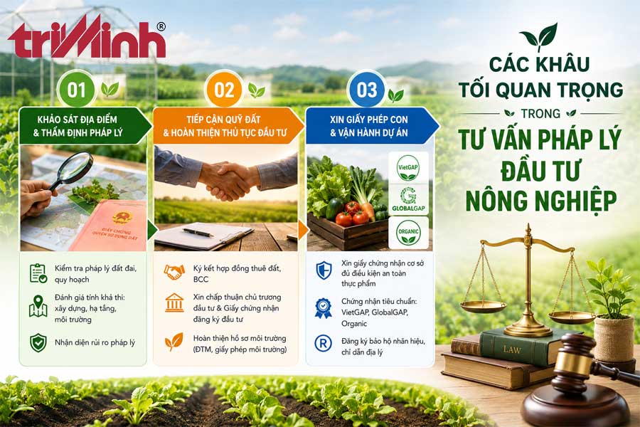 cac-khau-toi-quan-trong-trong-tu-van-phap-ly-dau-tu-nong-nghiep