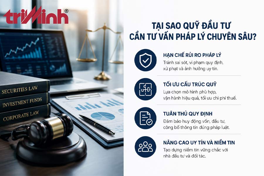 tai-sao-quy-dau-tu-can-tu-van-phap-ly-chuyen-sau