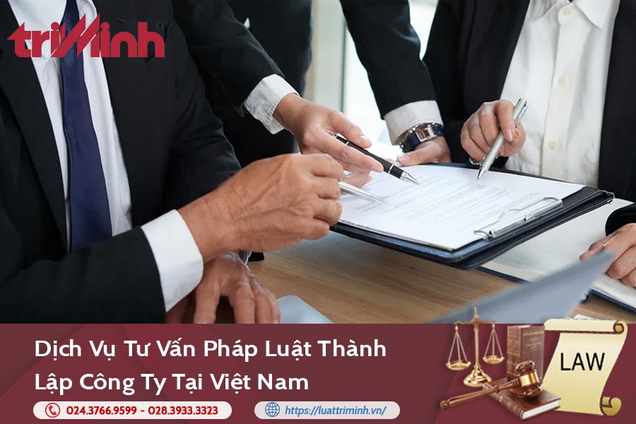 tu-van-phap-luat-thanh-lap-cong-ty-tai-viet-nam