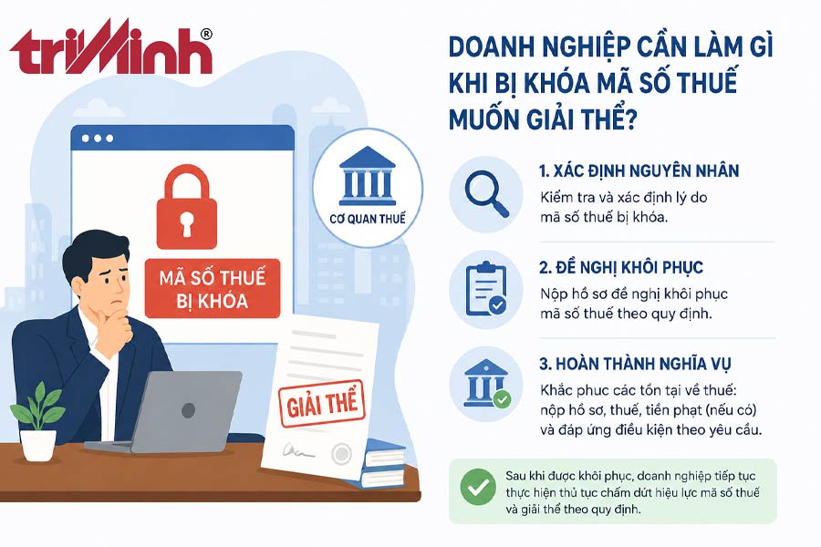 doanh-nghiep-can-lam-gi-khi-bi-khoa-ma-so-thue-muon-giai-the
