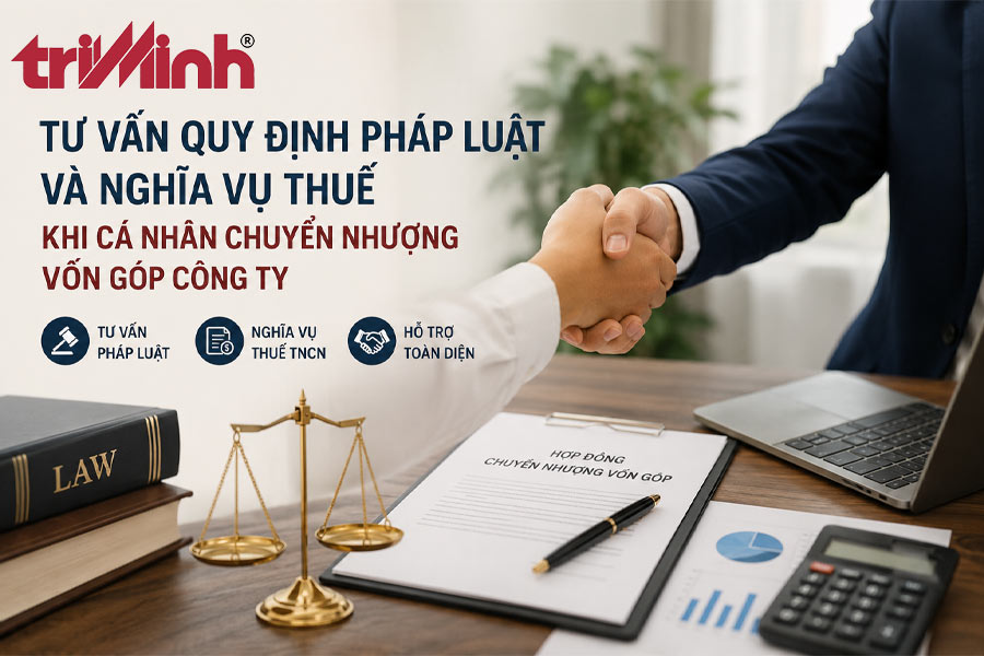 luat-tri-minh-tu-van-quy-dinh-phap-luat-va-nghia-vu-thue