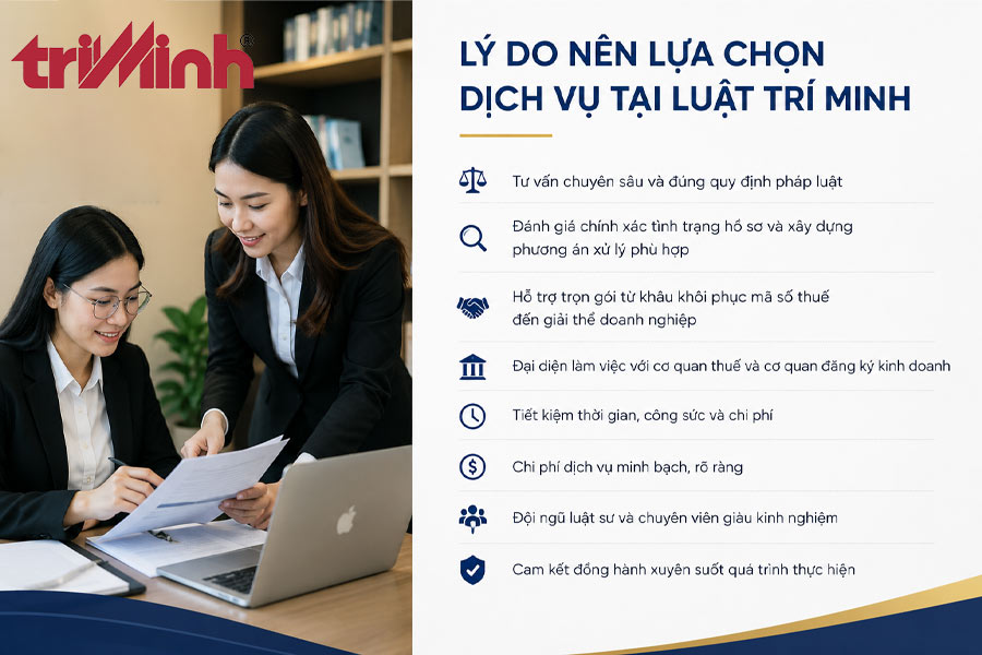 ly-do-nen-lua-chon-dich-vu-tai-luat-tri-minh
