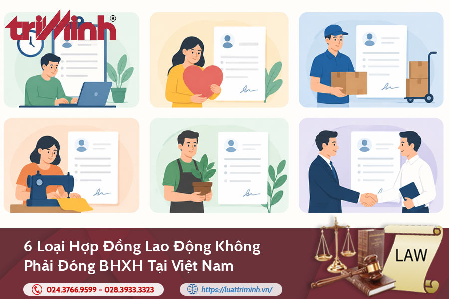 6-loai-hop-dong-lao-dong-khong-phai-dong-bhxh-tai-viet-nam