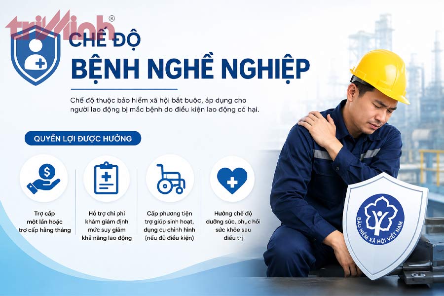 che-do-benh-nghe-nghiep-la-gi