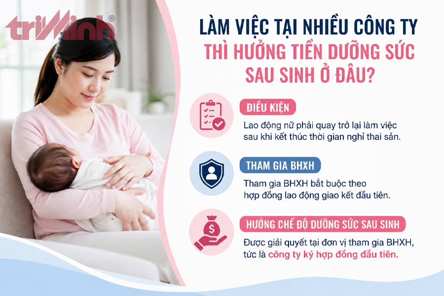 lam-viec-tai-nhieu-cong-ty-thi-huong-tien-duong-suc-sau-sinh-o-dau
